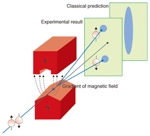 The phenomena and mechanisms of Dresselhaus/Rashba spin splitting and