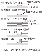 図2_PLCプラットフォームの作製工程