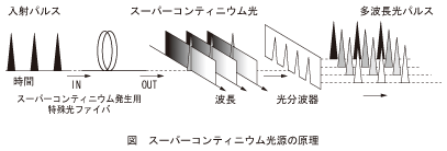 図_スーパーコンティニウム光源の原理