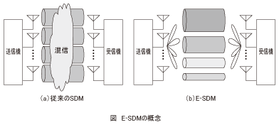 図_E-SDMの概念